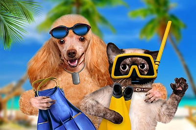 Gydytoja dietologė: atostogų pasekmės – skrandžio skausmai ir papildomi kilogramai