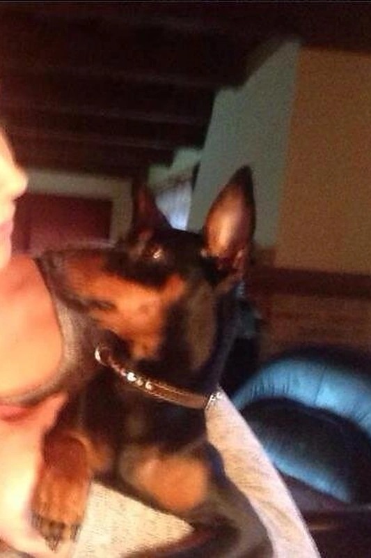 Monika Šedžiuvienė su augintiniu Pifu