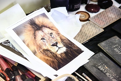 „Pirk dramblį“ koncerto užkulisiai