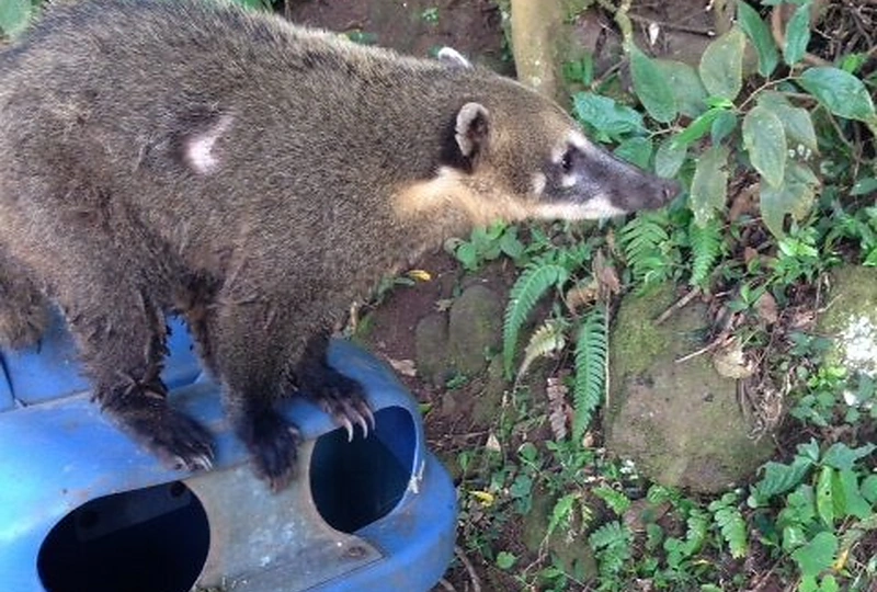 Atostogų Brazilijoje akimirka