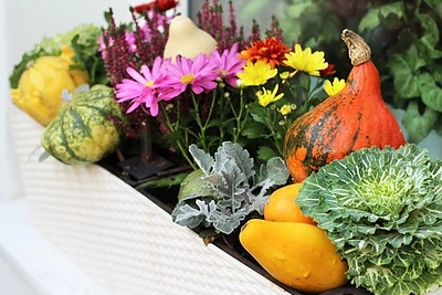 Spalio mėnesio darbai sode ir darže