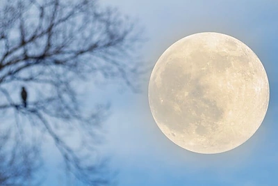 Tobulėkime kartu. Kaip efektyviai „įdarbinti“ Mėnulio fazes savo tikslams