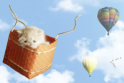 J. Seguros kačiukas Napoleonas