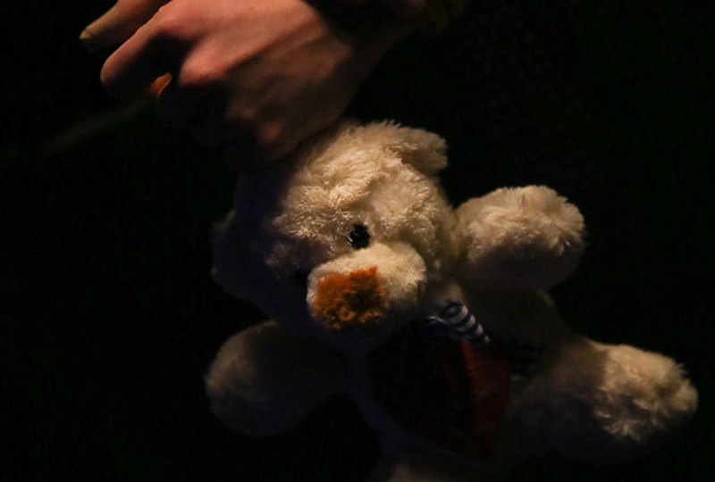 Tarjos turunen koncertas Vilniuje