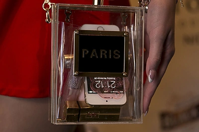 Karolinos Toleikytės rankinė