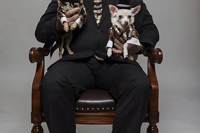 Aukštoji šuniukų mada