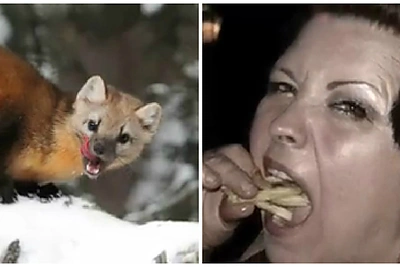 Jazzu įkvėptas „Eilinis elitas“ uždainavo: „Kiaunės ir urodai, neikit į mano koncertus“