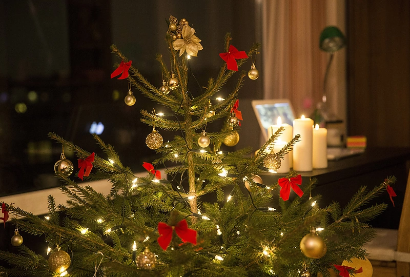 Monika Linkytė papuošė namus Kalėdoms