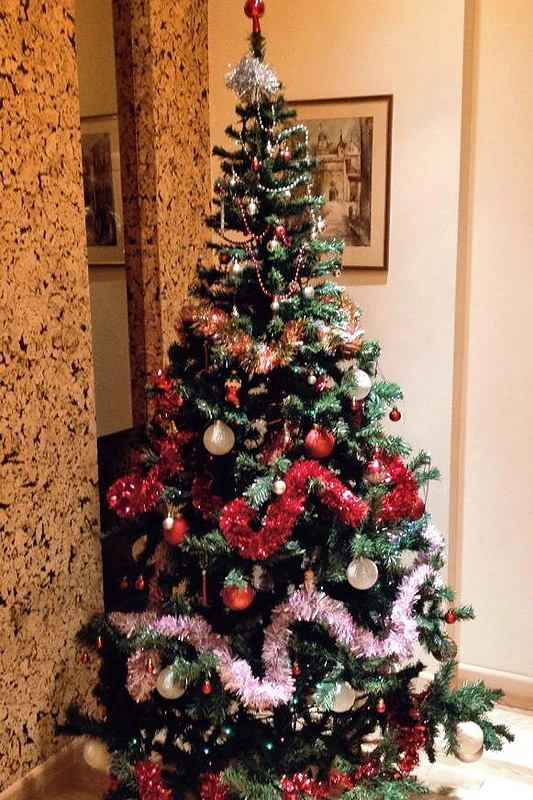 Simonos Burbaitės vaikino Mato tėvų kalėdinė eglė