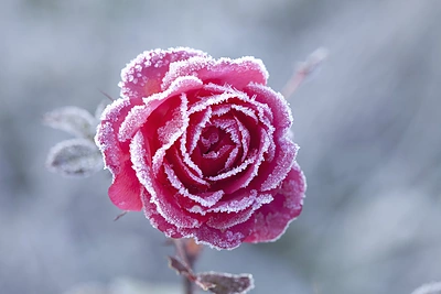 Sausio mėnesio horoskopas