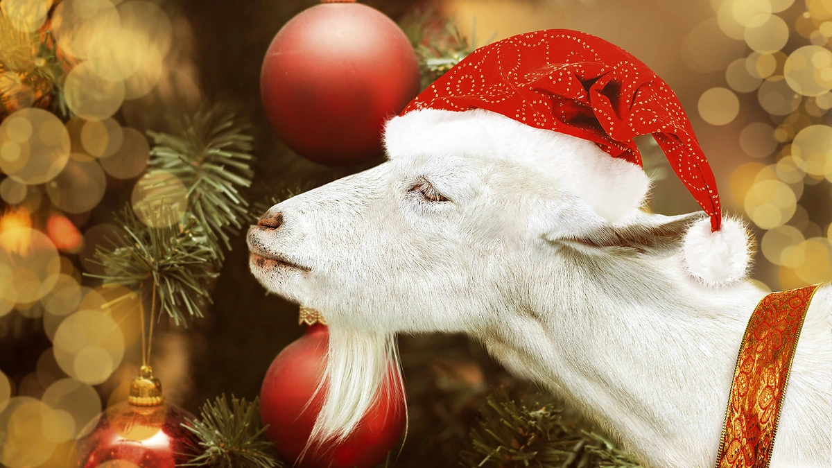 2015-ieji – Ožkos metai.