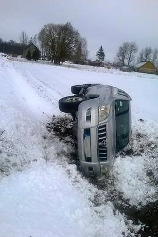 Daivos Tamošiūnaitės automobilis