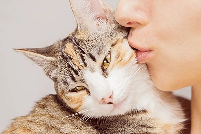 5 priežastys, kodėl verta auginti kates