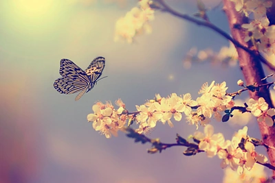 Kovo mėnesio horoskopas