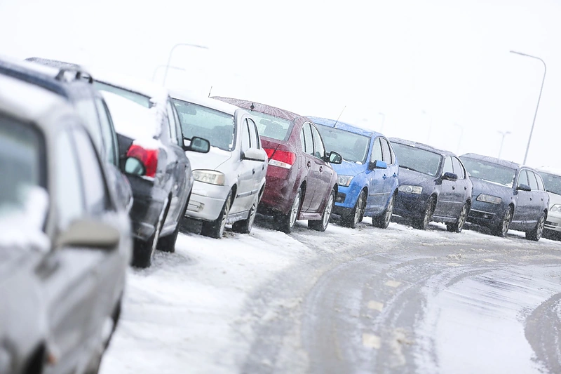 Žiema spardosi – pirmąją kovo savaitę prisnigo