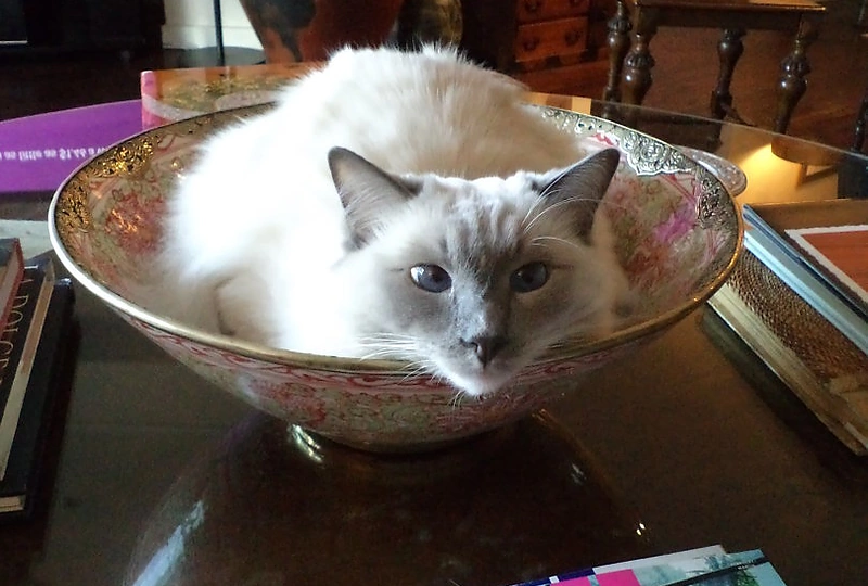 Žilvino Grigaičio akimirka iš Australijos