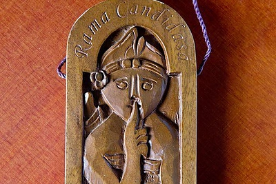 Dariaus Tolušio kolekcijos egzemplioriai