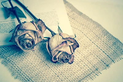 Tikra istorija. „Mūsų meilę primins man sudžiūvę rožių žiedai“