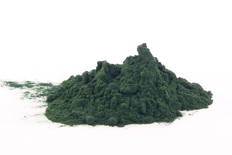 Vingrūnės (lot. Spirulina)
