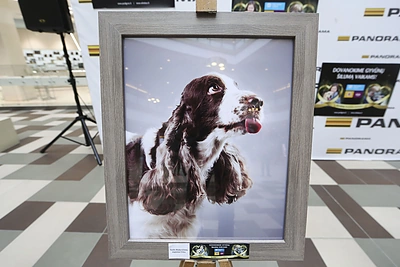 Parodos „Laimingas šuo“ atidarymas