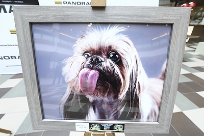 Parodos „Laimingas šuo“ atidarymas