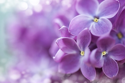 Gegužės kalendorius: sėkmingiausios mėnesio dienos