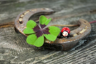 Kaip prisišaukti sėkmę