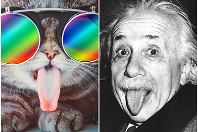 Naujoji socialinių tinklų žvaigždė – ilgaliežuvė katytė