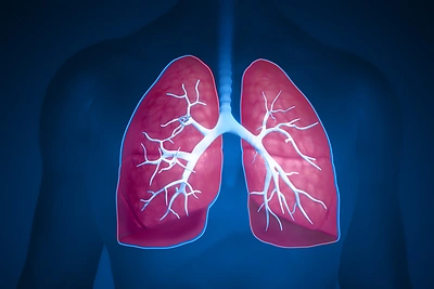 Plaučių valymas: kokios natūralios priemonės gali padėti?