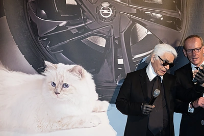 Turtingiausi pasaulio gyvūnai: kiek pinigų slypi jų banko sąskaitose?