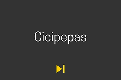 Tado Vidmanto sukurtas žaidimas „Barsukas“