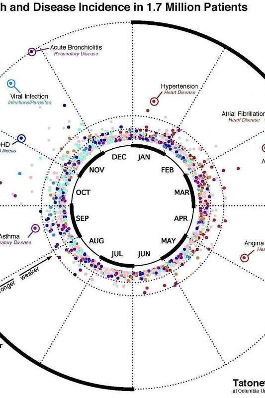 Ryšys tarp gimimo mėnesio ir ligų