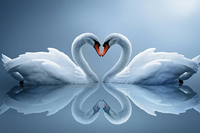 Savaitės horoskopas – birželio 22–28 d.