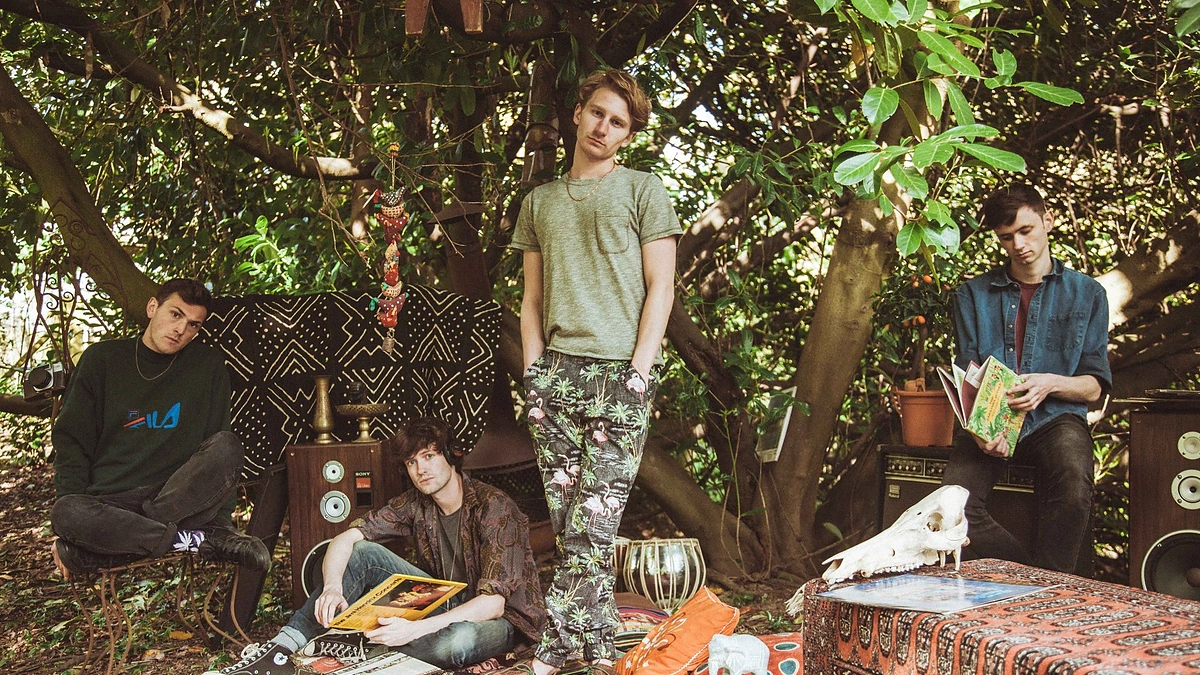 „Glass Animals“