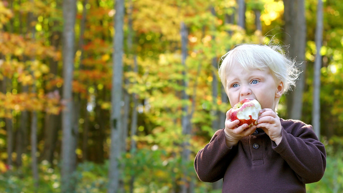 Obuolį valgantis vaikas