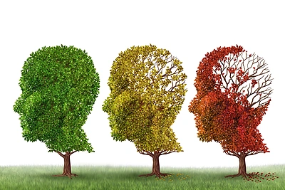 Geros atminties receptai: neuronų treniruotės ir penas smegenims