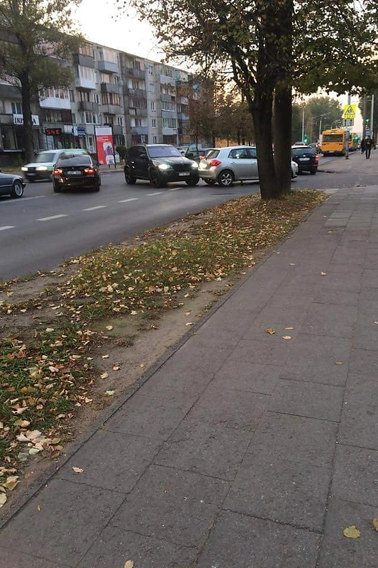 Vita Jakutienė pateko į autoįvykį