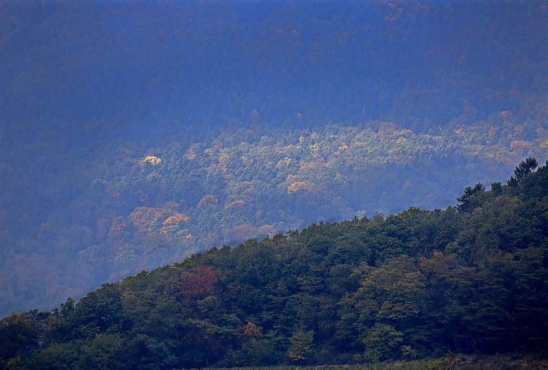 Rudens spalvomis dažosi Europos gamta