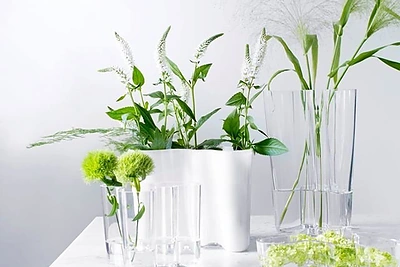 Gėlės / Interjero dekoro idėjos / Gamintojo nuotr.