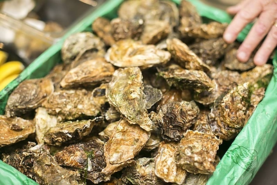 Pasaulio austrių atidarymo čempiono Marselio Lessoille pasirodymas