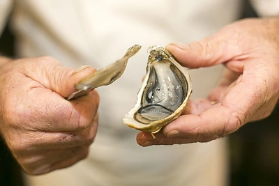 Pasaulio austrių atidarymo čempiono Marselio Lessoille pasirodymas