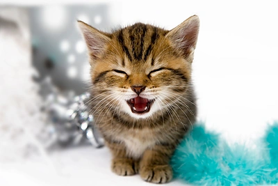 10 kalėdinių dovanų, kurių neverta dovanoti