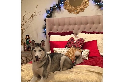 Šventiškai papuoštas aktorės Bellos Thorne miegamasis