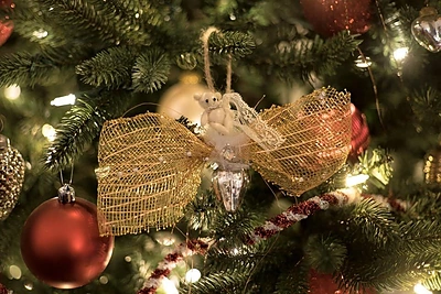 Evelinos Anusauskaitės-Young Kalėdų eglė