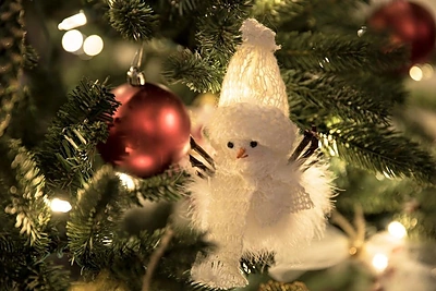 Evelinos Anusauskaitės-Young Kalėdų eglė