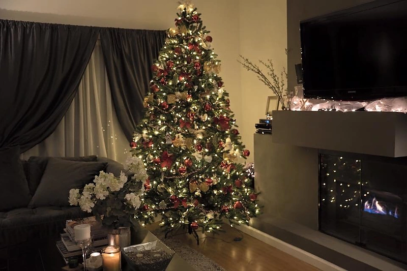 Evelinos Anusauskaitės-Young Kalėdų eglė