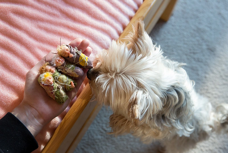 Editos Lei Fėjų slėnis