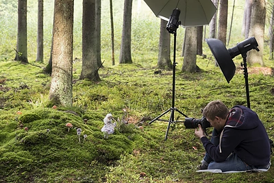 Edita Lei išleido knygą „Miglų slėnio fėjų pasakos“