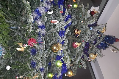 Deivio ir Renatos Norvilų Kalėdų eglės papuošimai