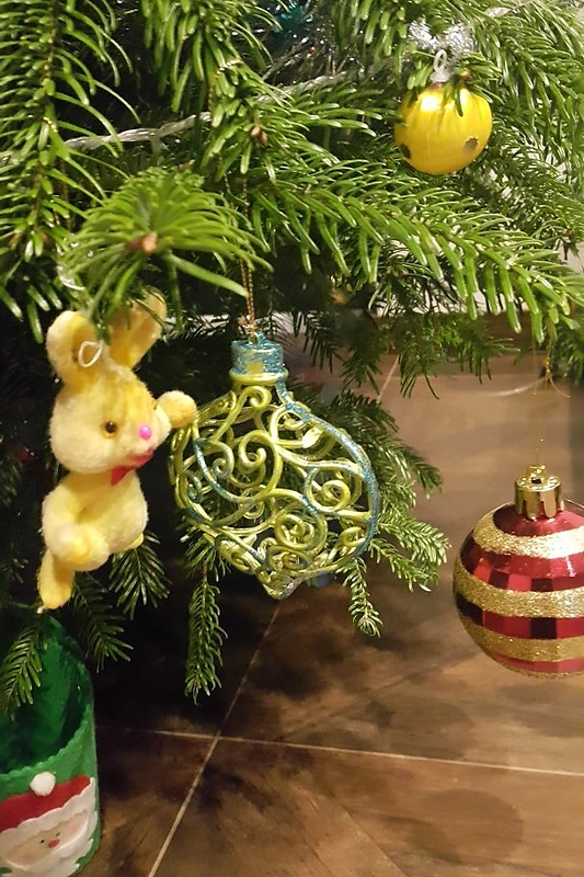 Deivio ir Renatos Norvilų Kalėdų eglės papuošimai